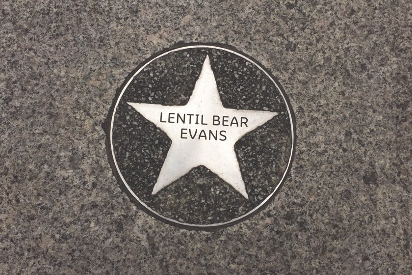 Memory star in pavement
