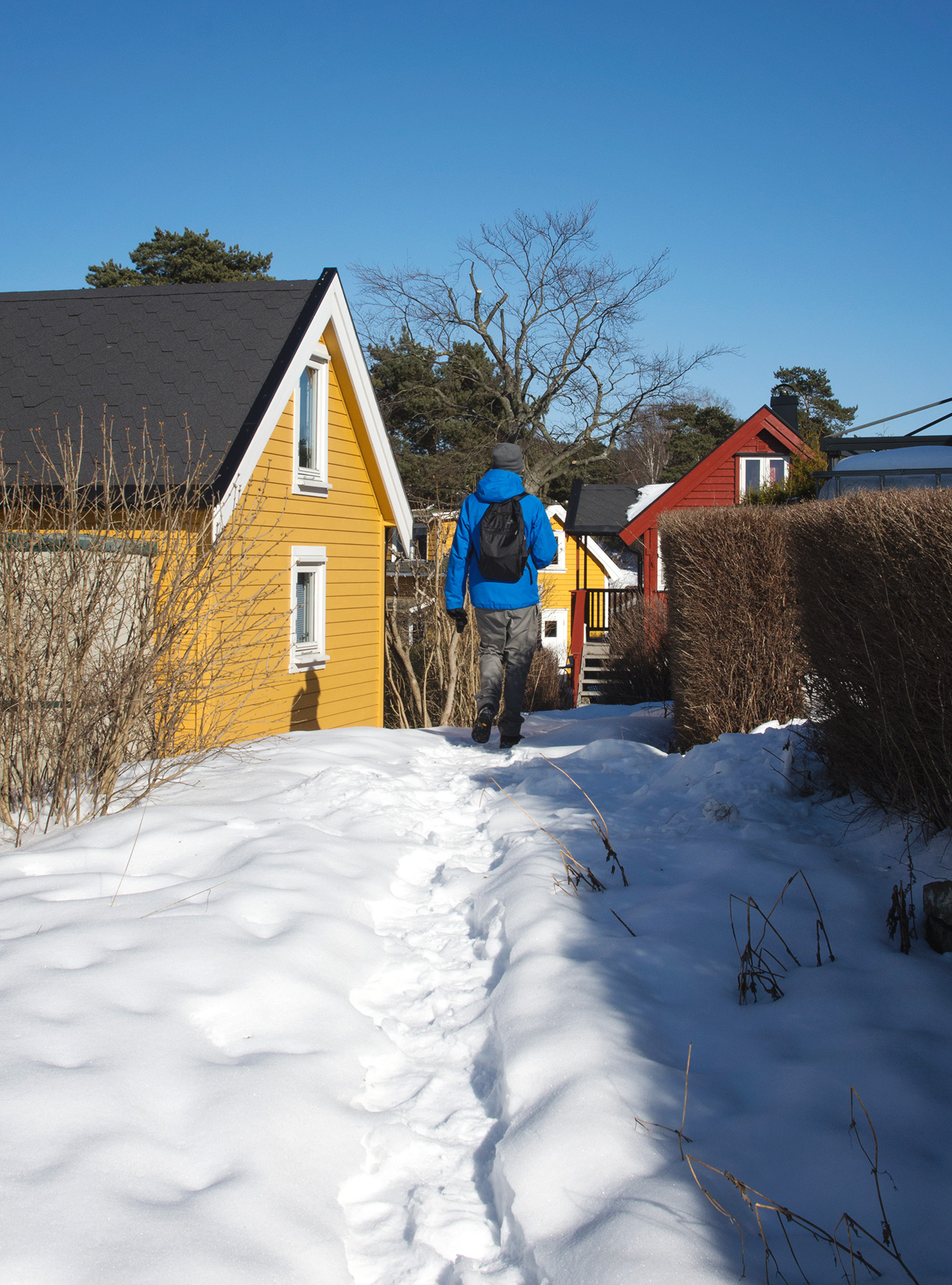 Yellow and red wooden houses
