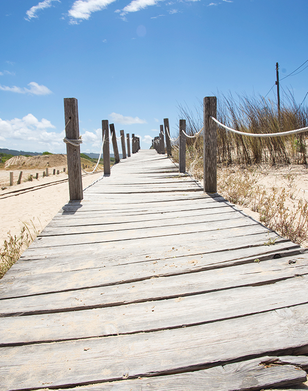 Walkway on beach