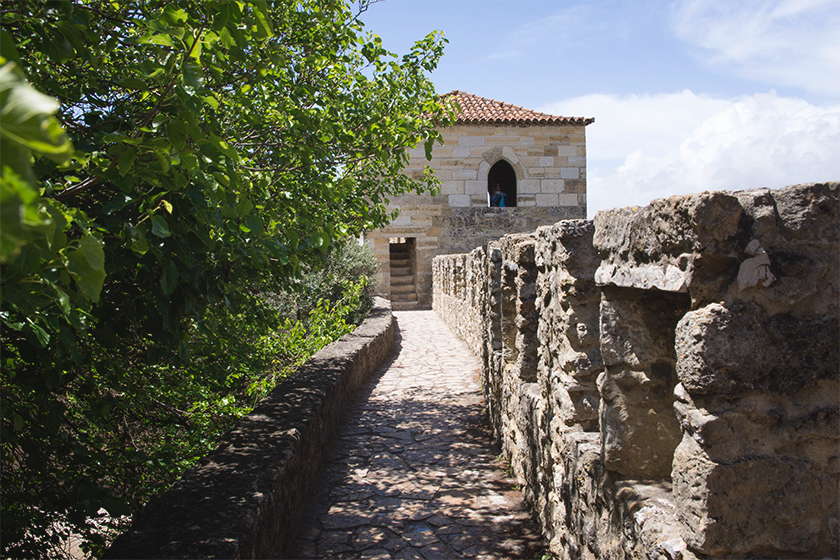 Castle walls and trees