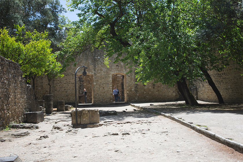 Leafy stone courtyard