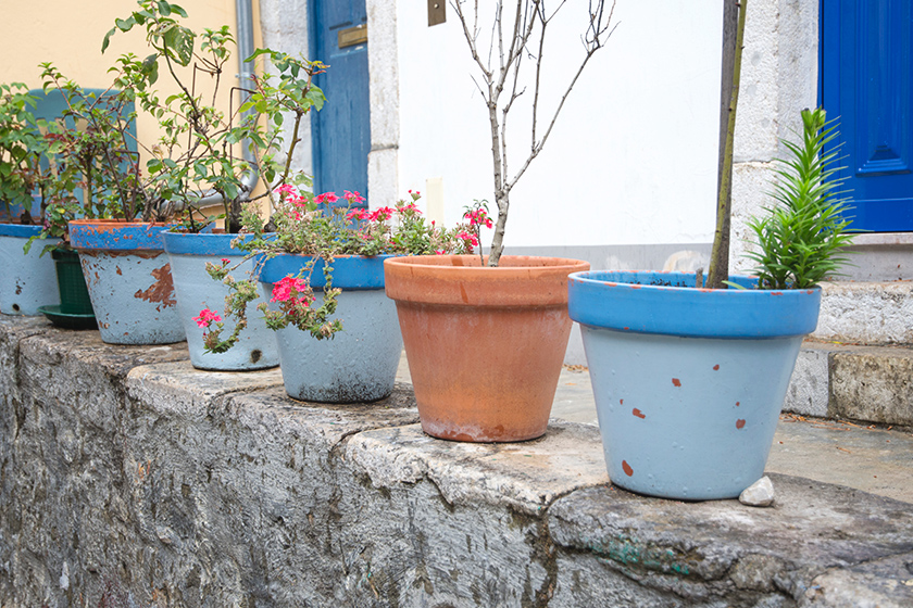 Terracotta pots on a wall