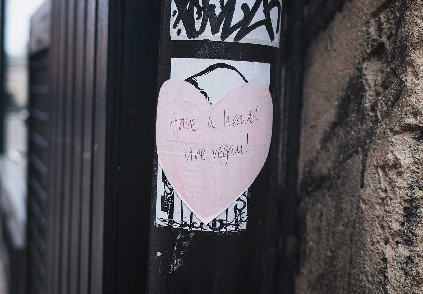 Vegan sticker