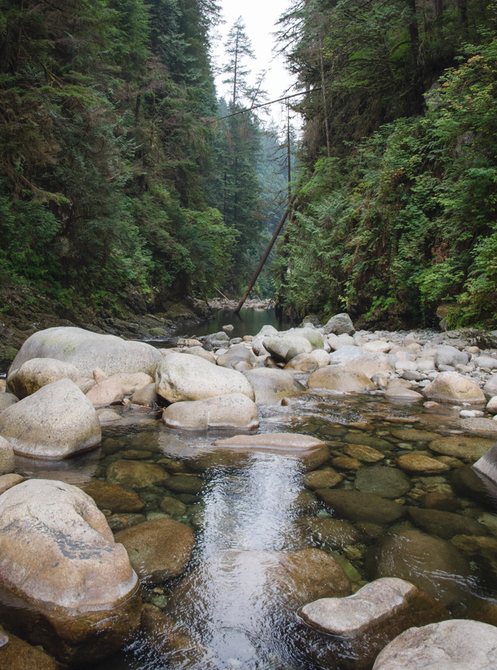 View down the creek