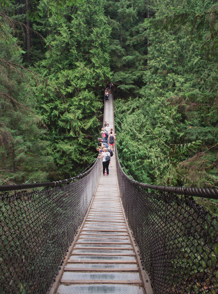 View along suspension bridge
