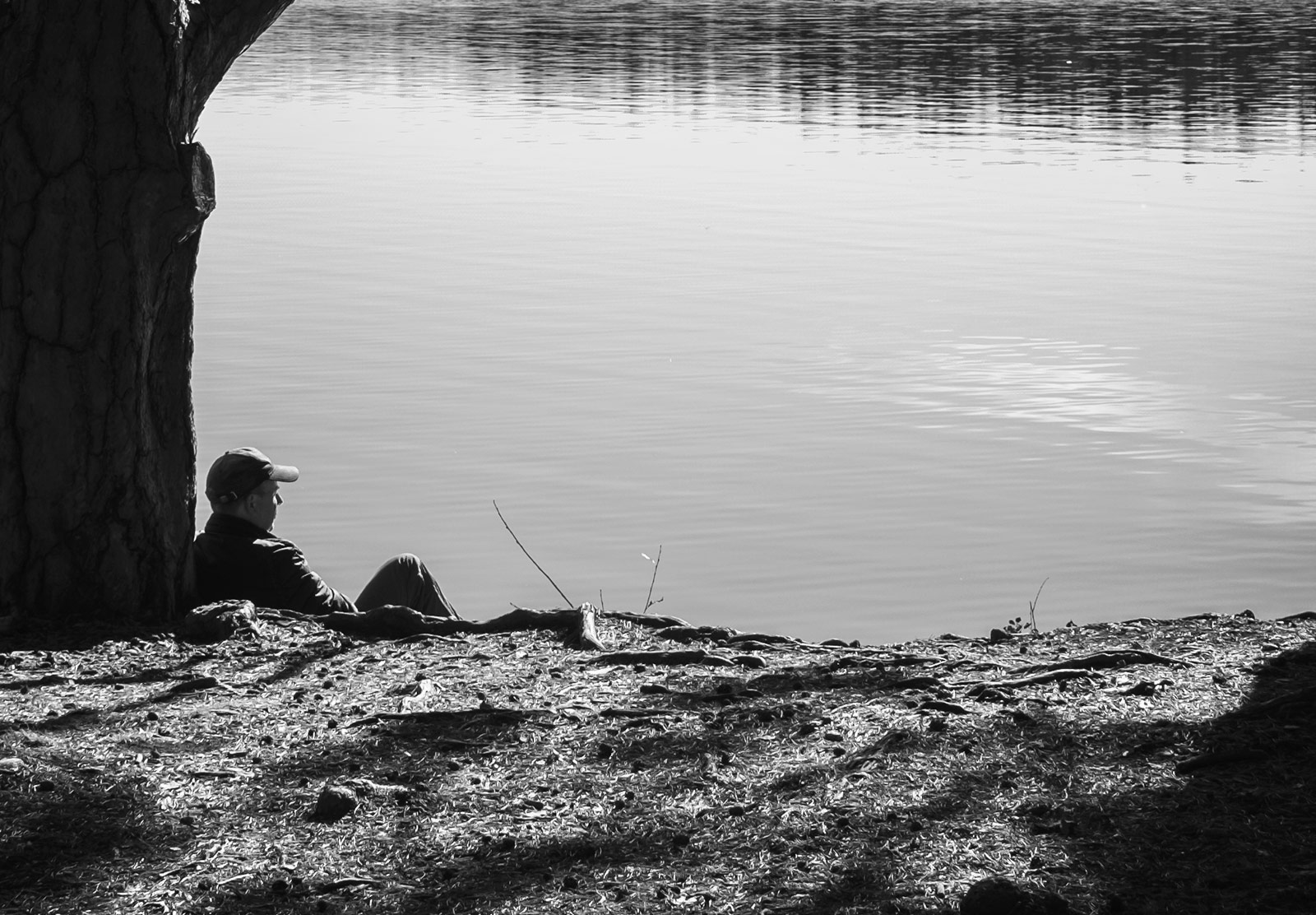 Man sat against tree