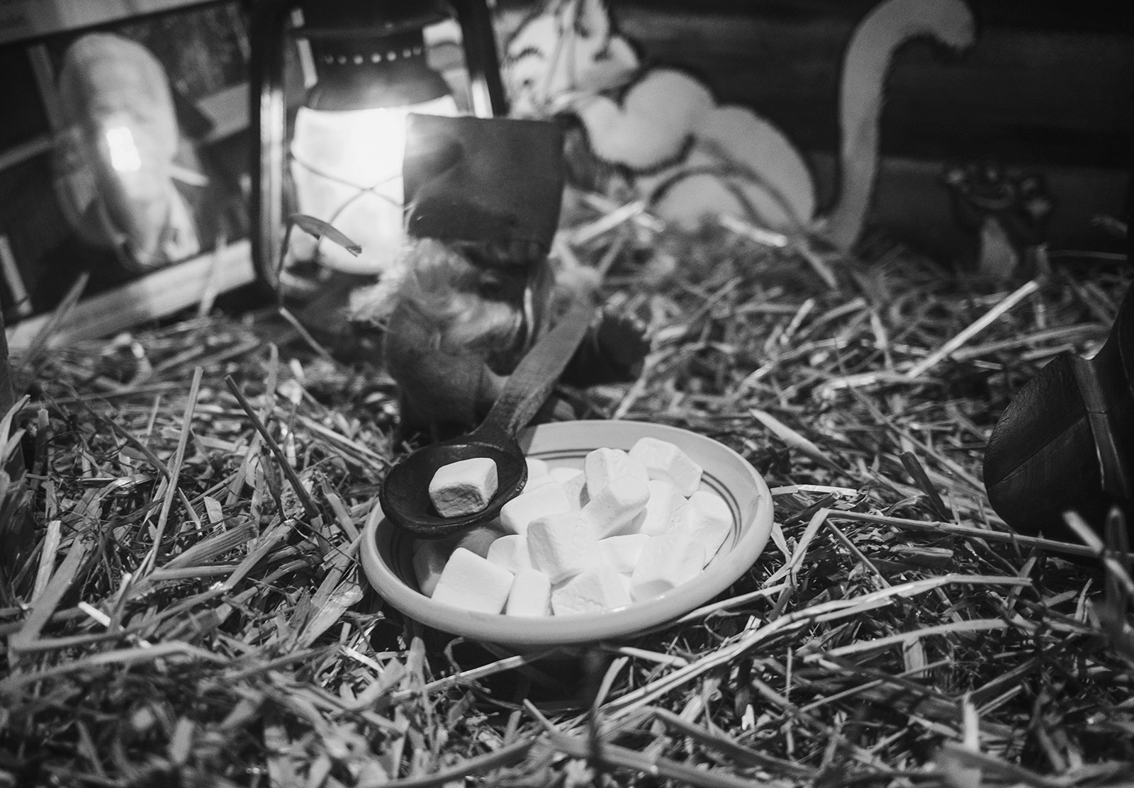 Marshmallows in bowl