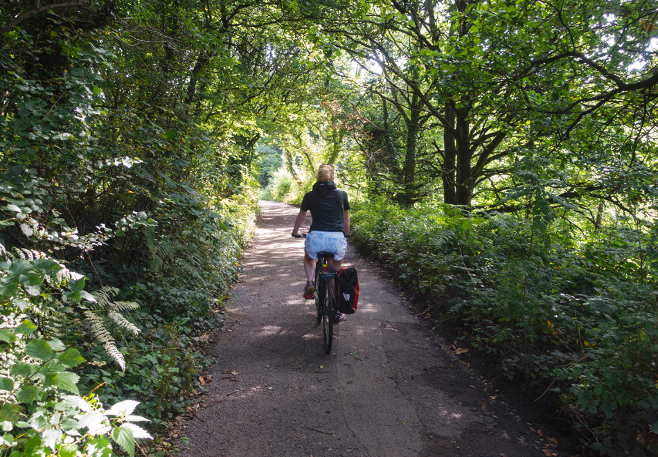 Cycling on a leafy road
