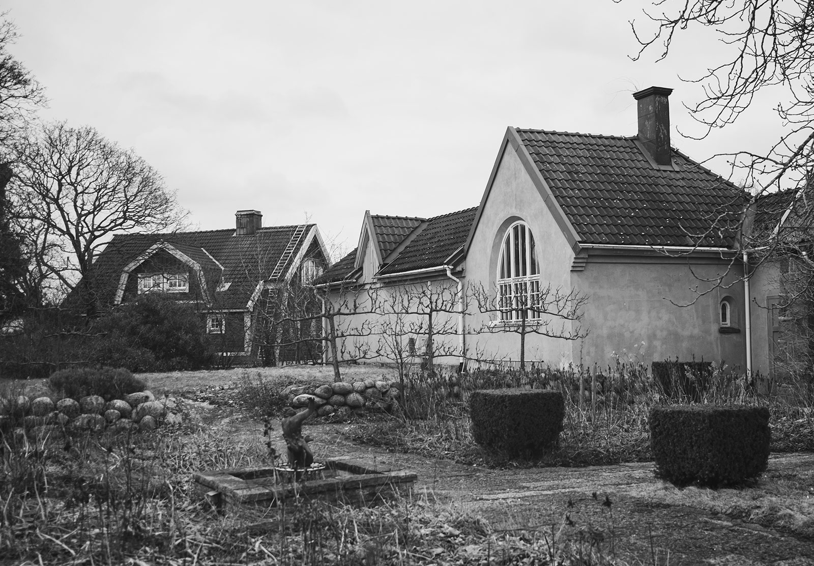 Old building and leafless tree
