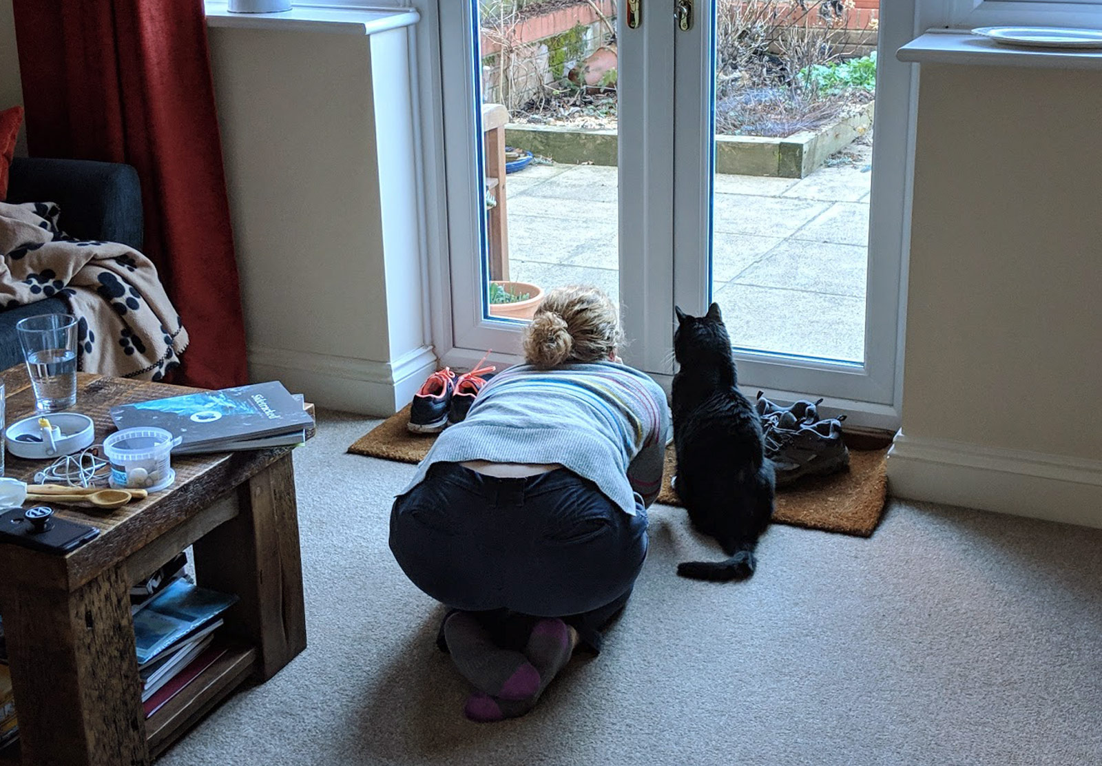 Cat and woman