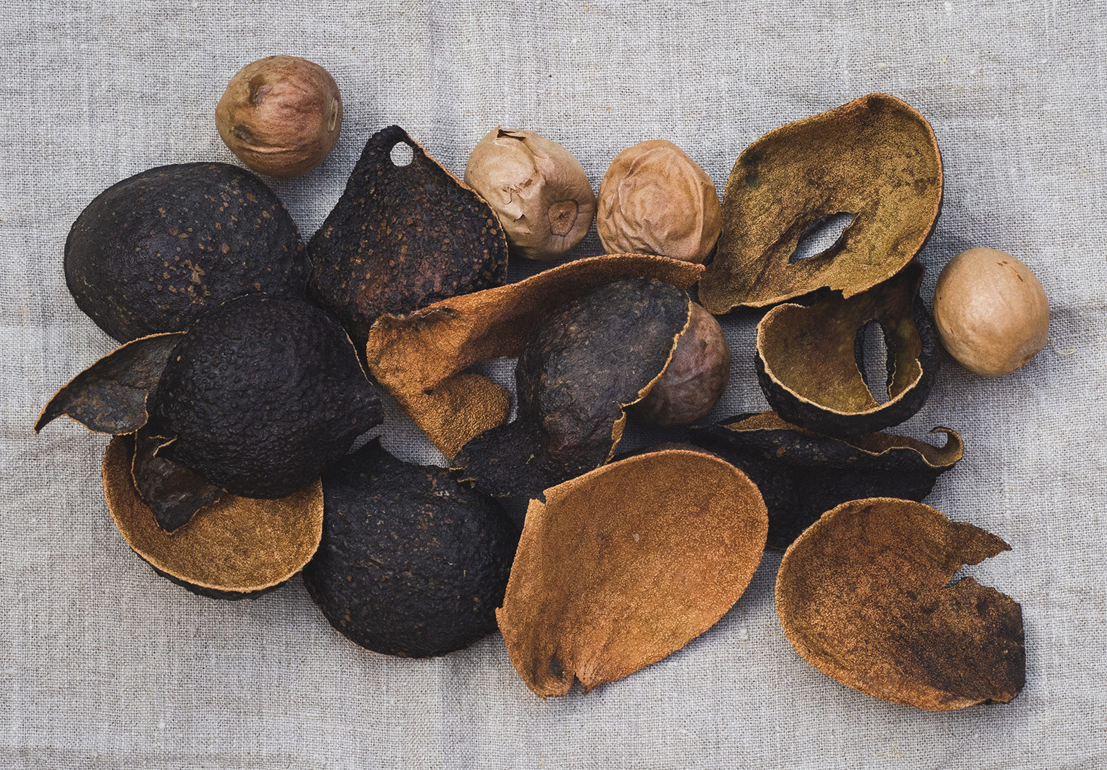 Dried avocado skins and pits