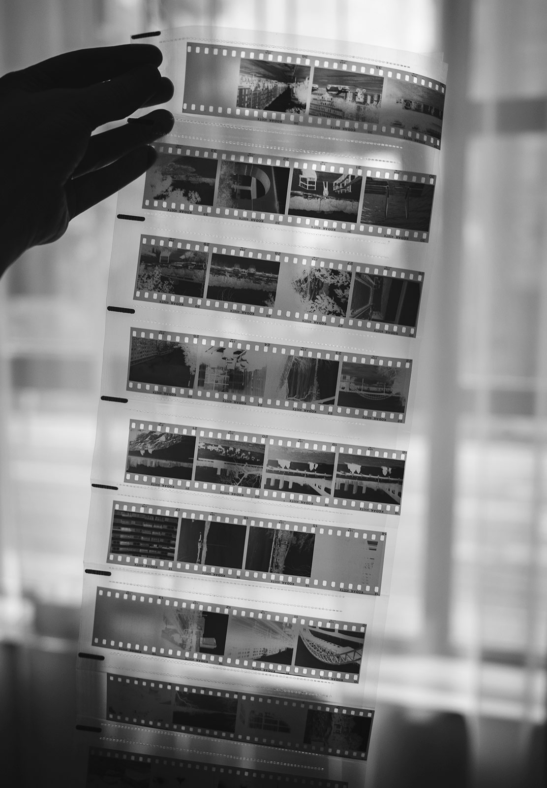 Sheet of negatives