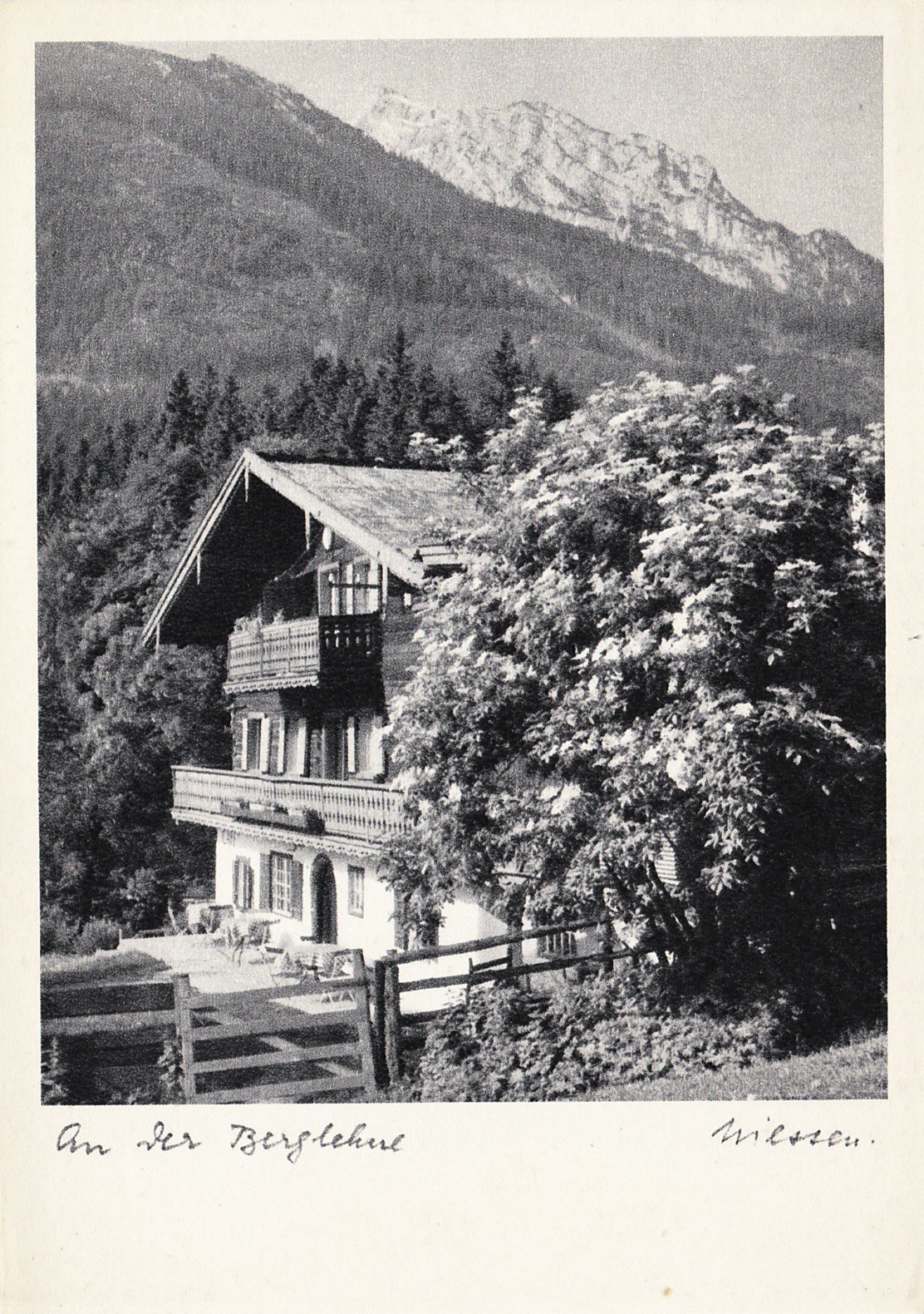 Wooden chalet