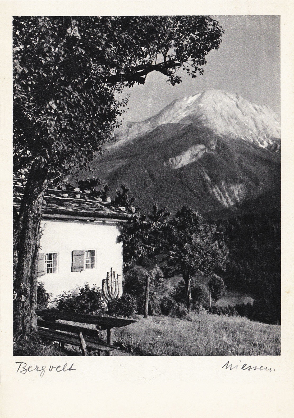 House in the mountains