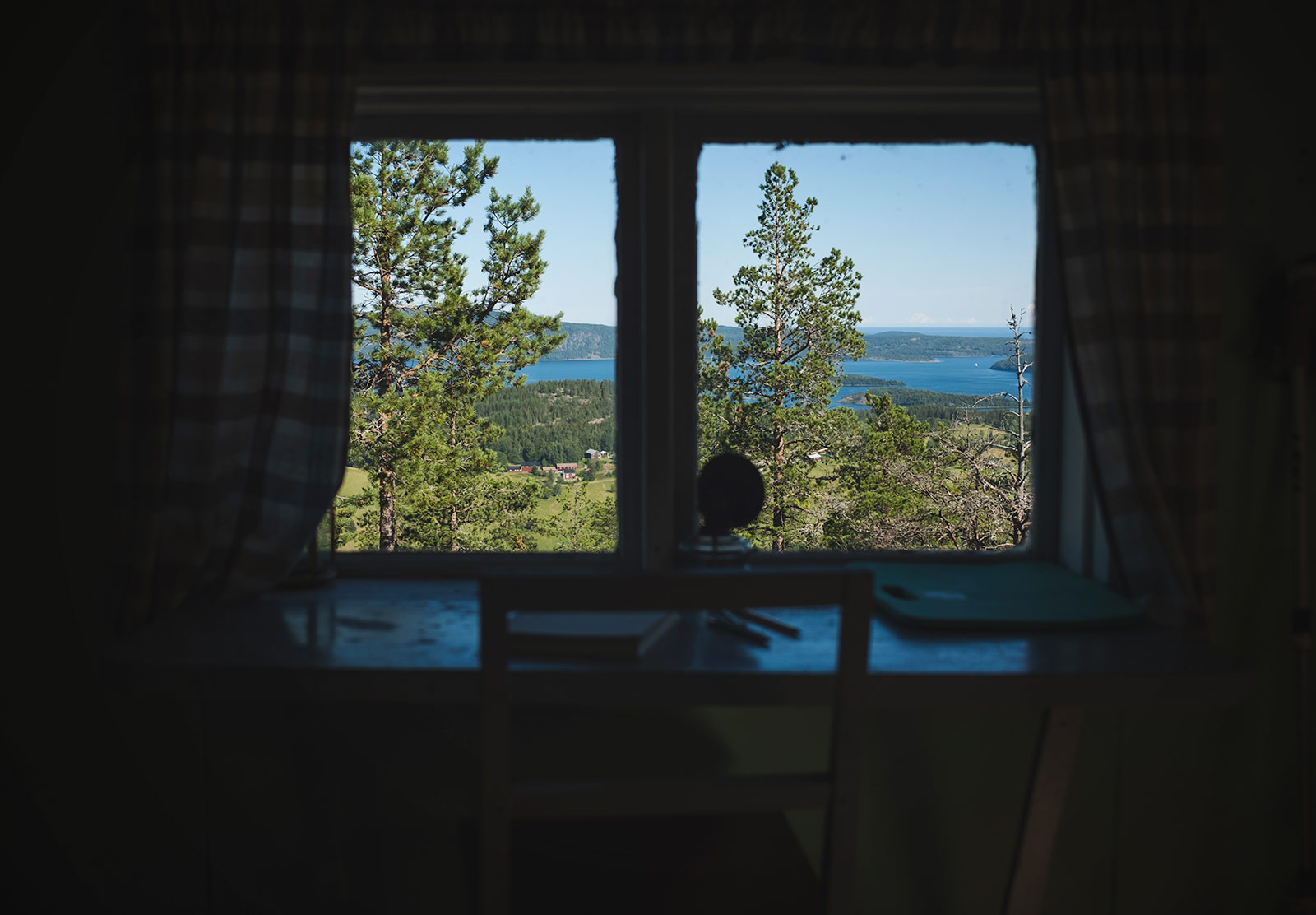 Tree view through window