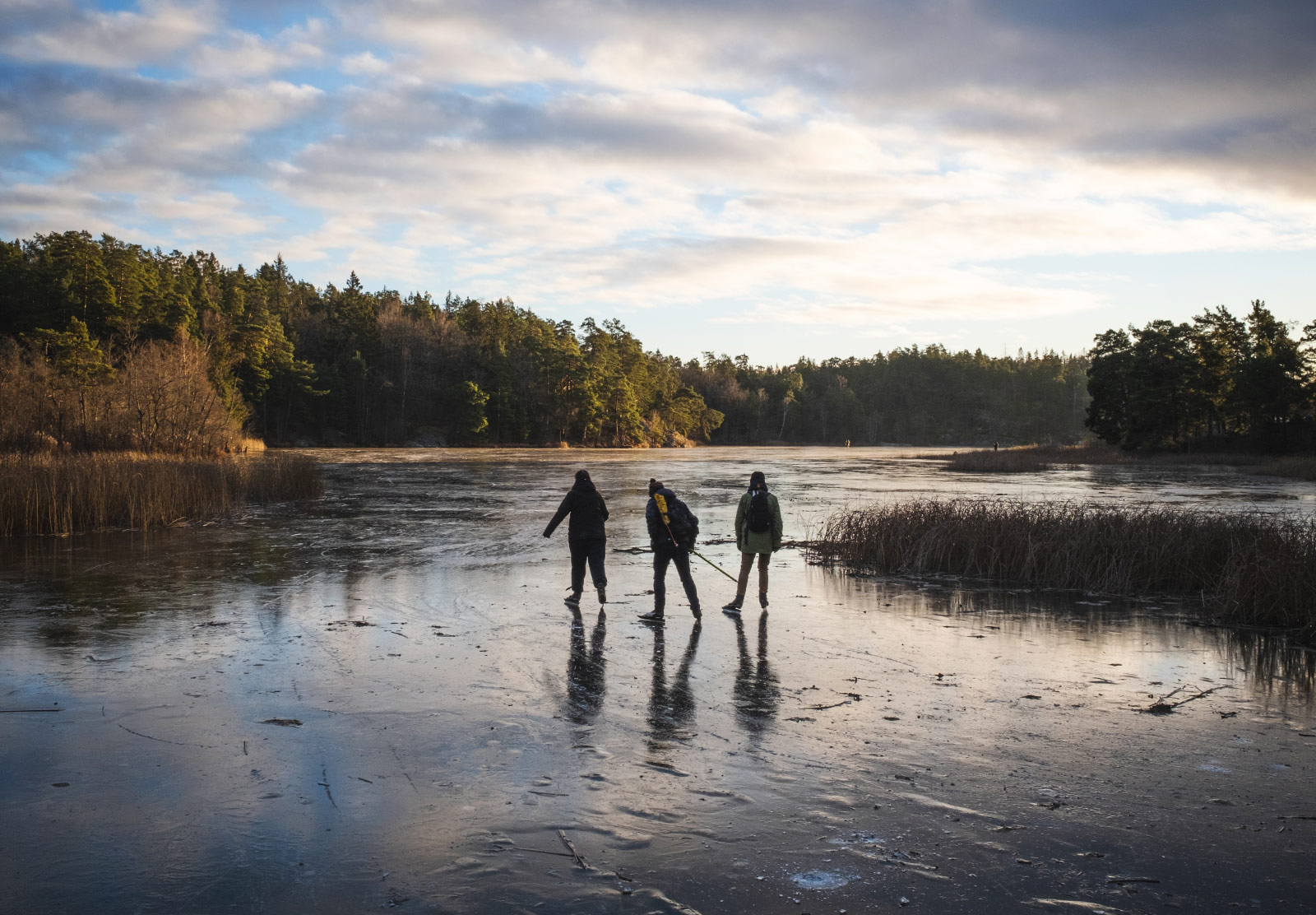 People skating on ice