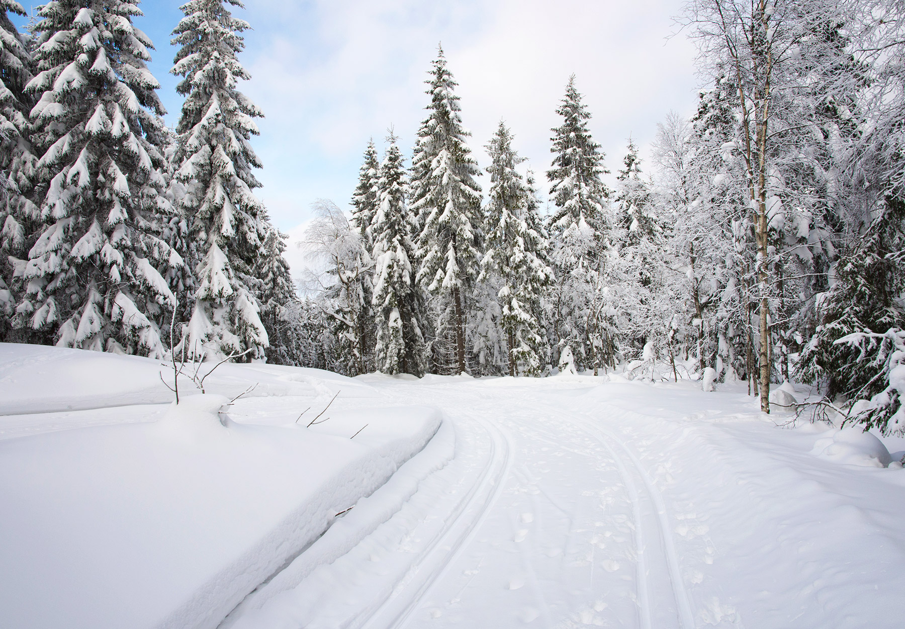 Snow trails