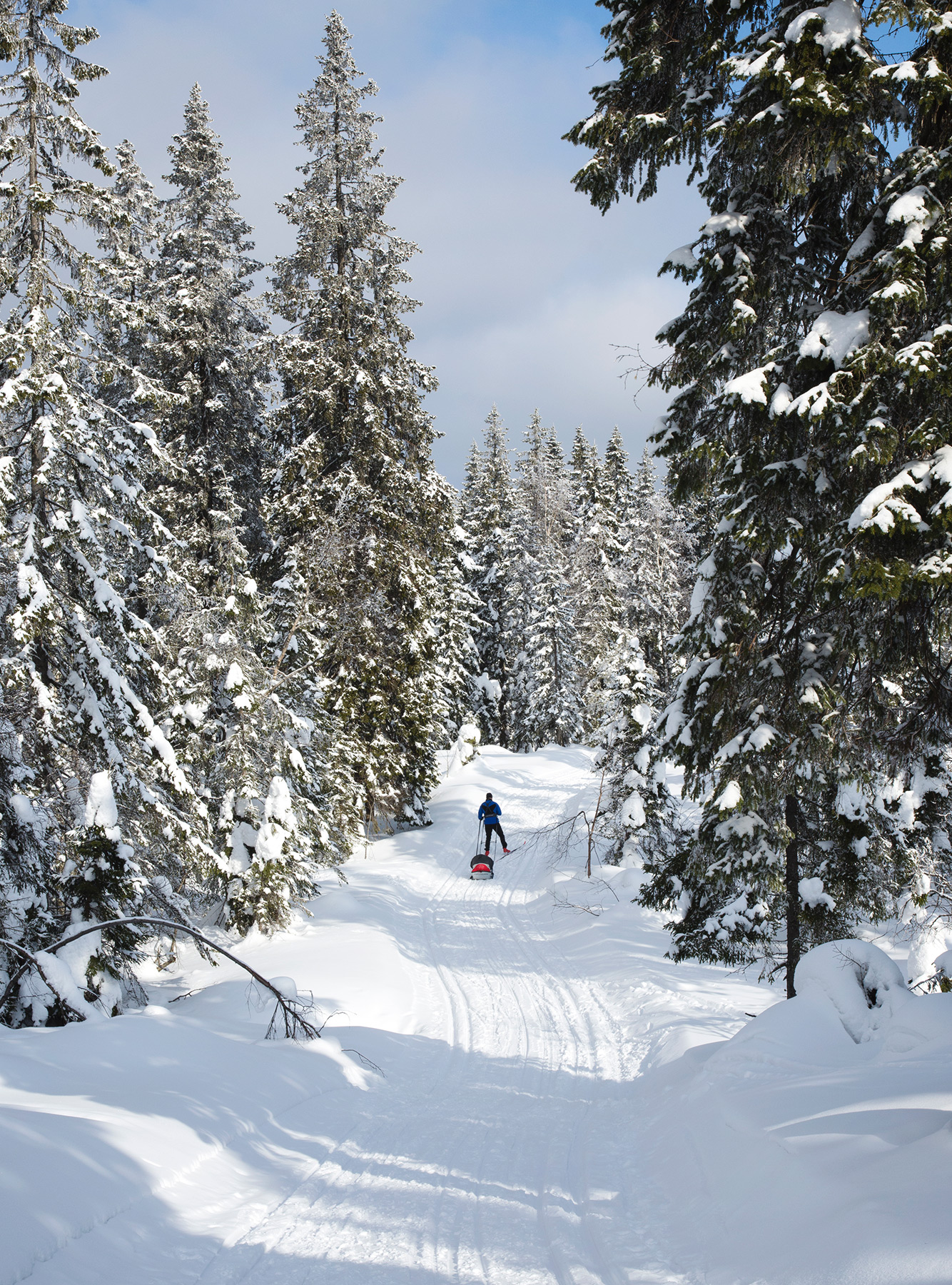 Skier on trail