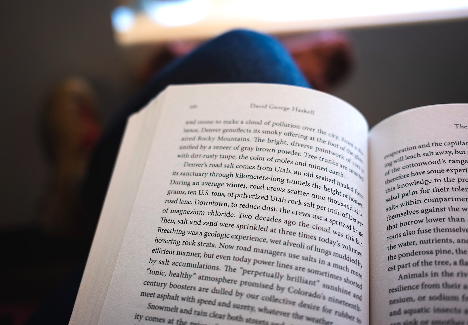 Open book