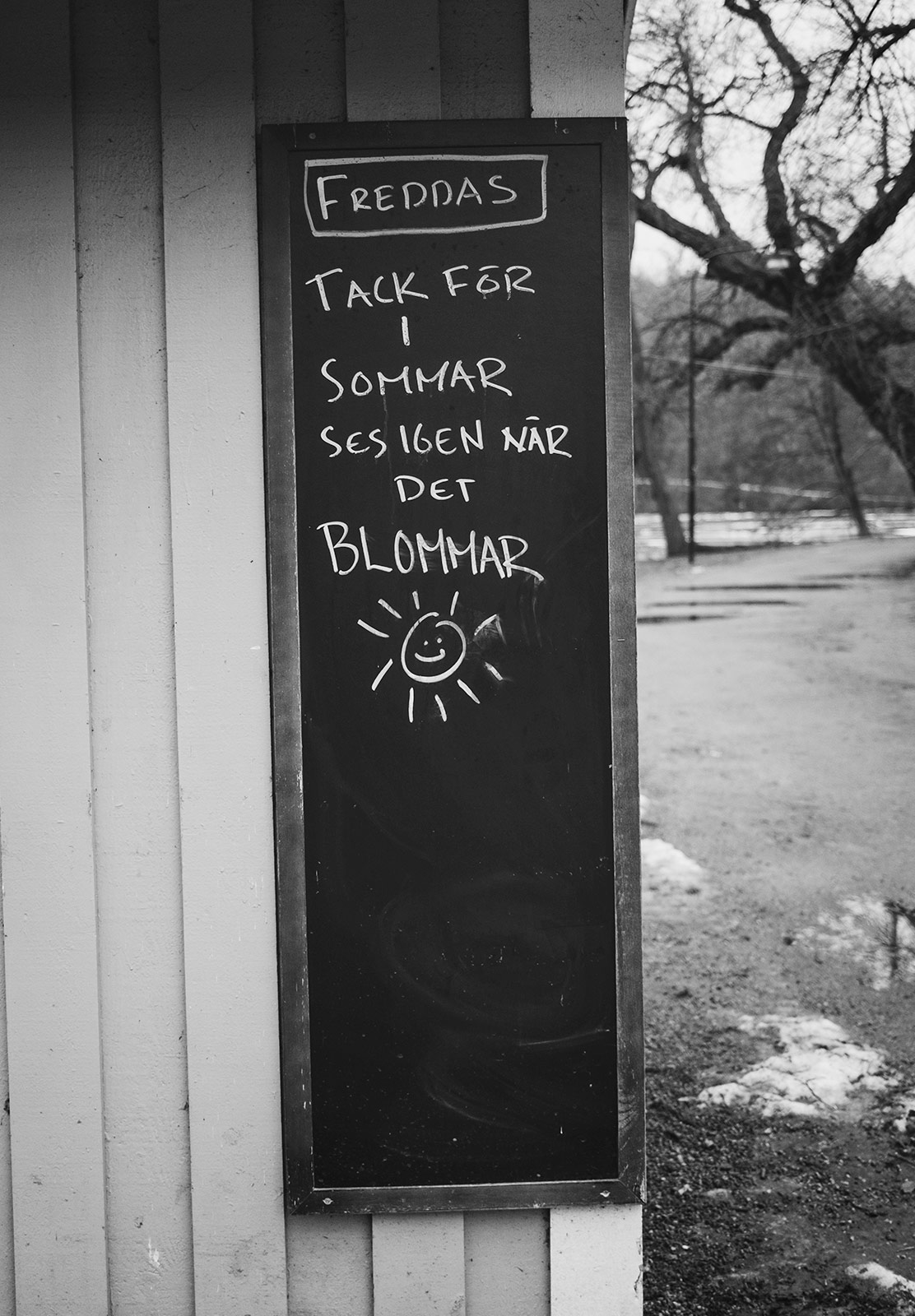 Summer opening sign