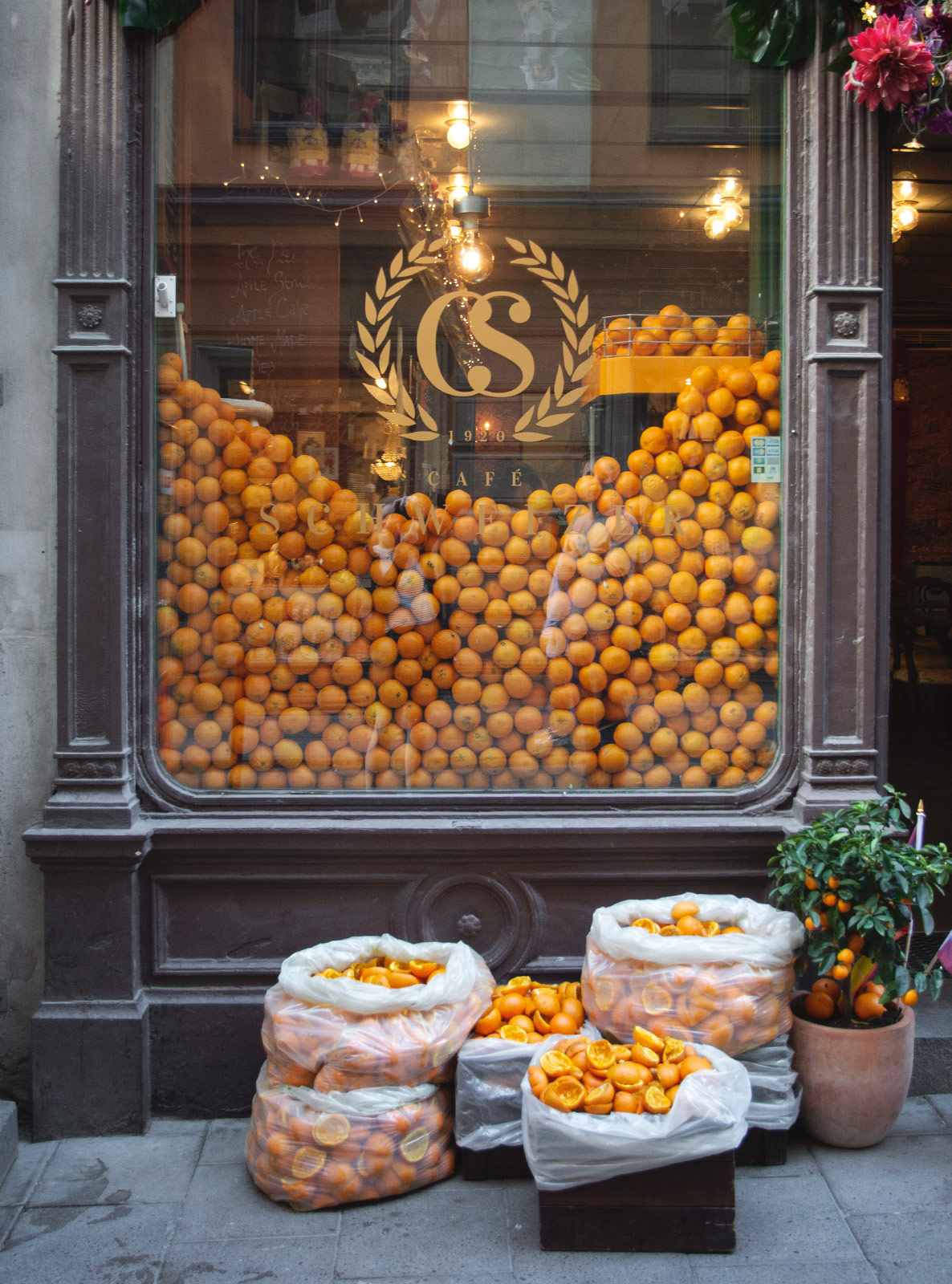 Oranges in cafe window