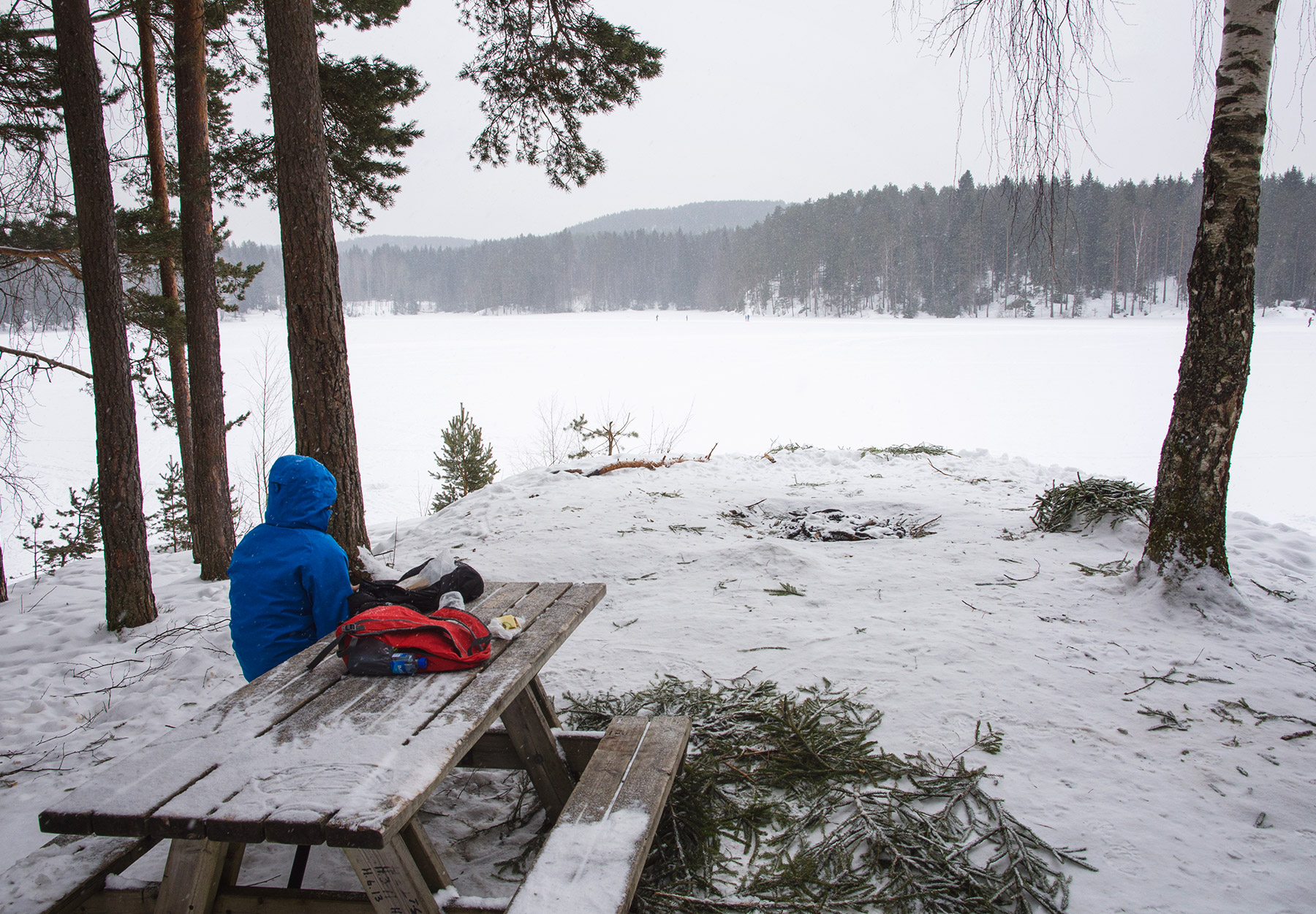 Bench overlooking lake