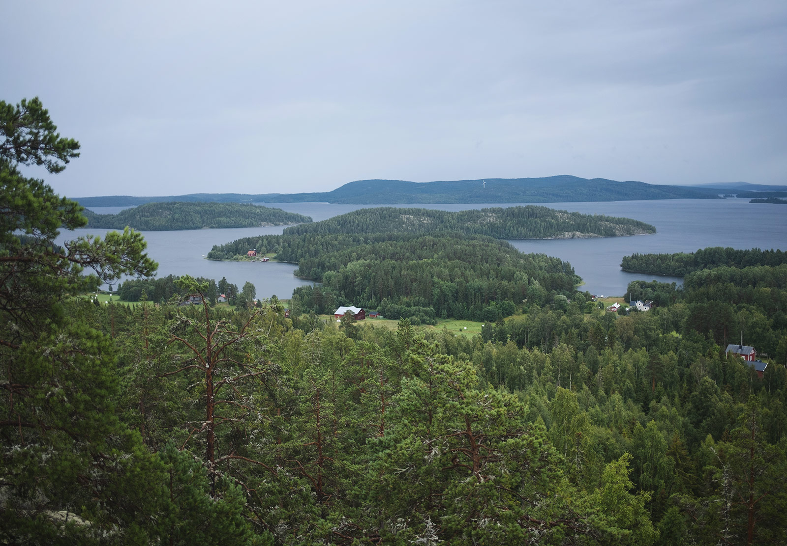 View over forest and sea