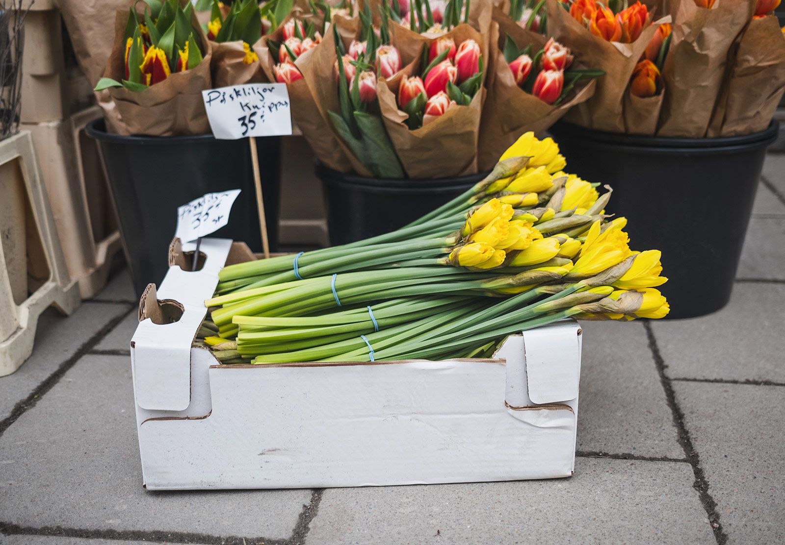 Box of daffodils
