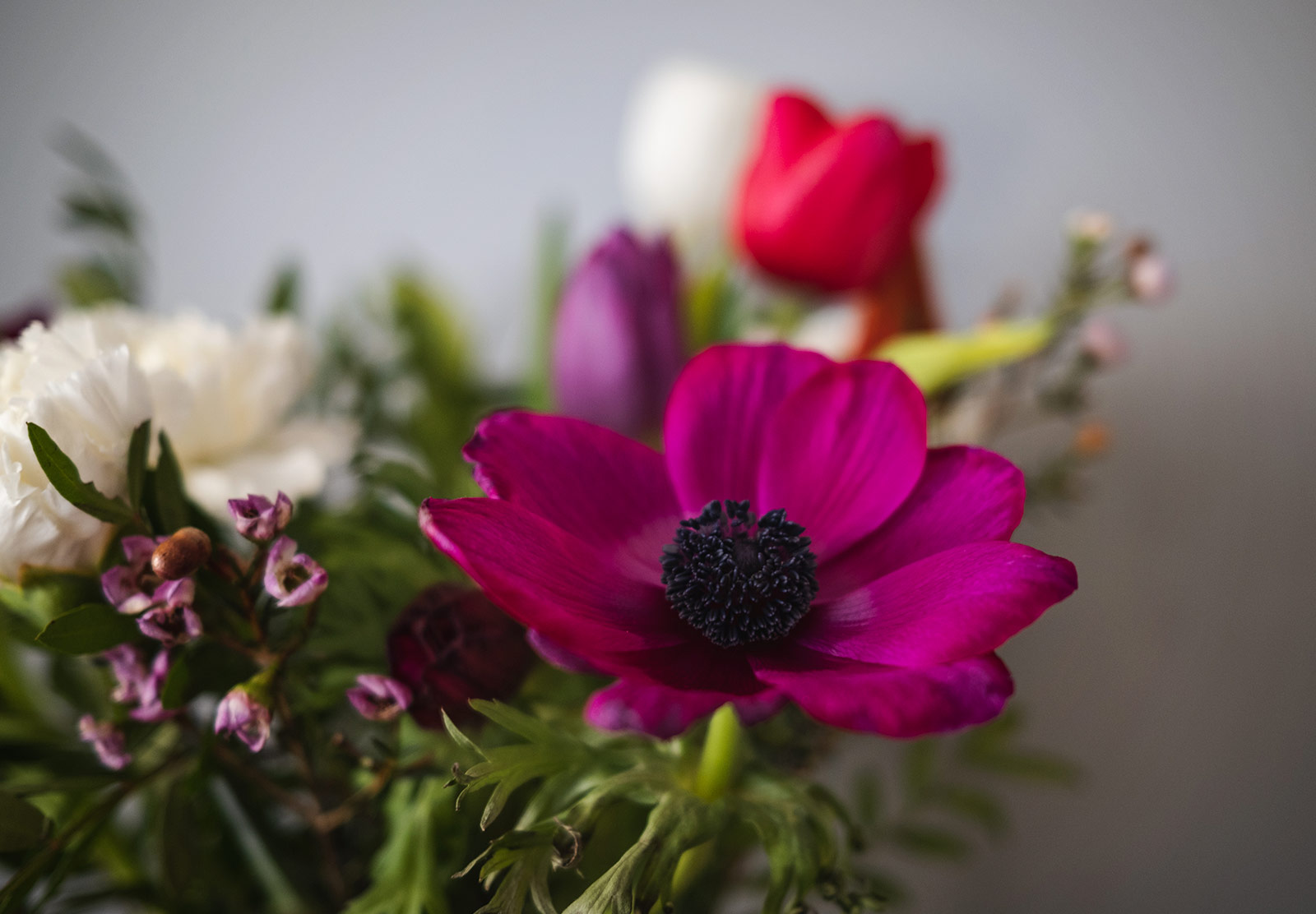 Closeup on pink flower