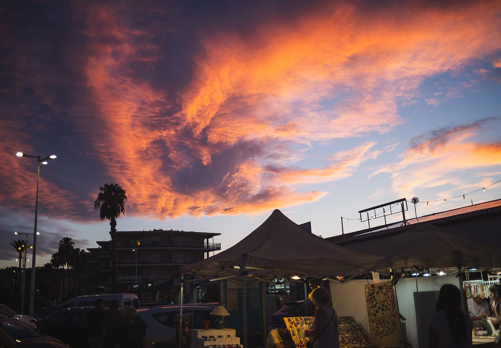 Looking up at a colourful sunset