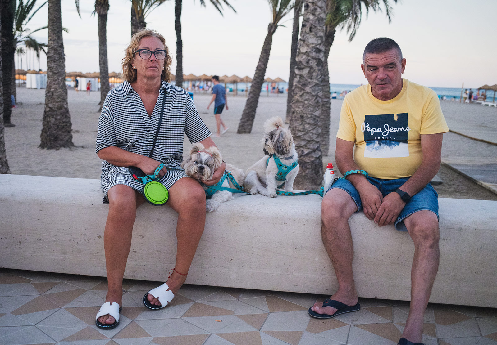People sitting with their dogs
