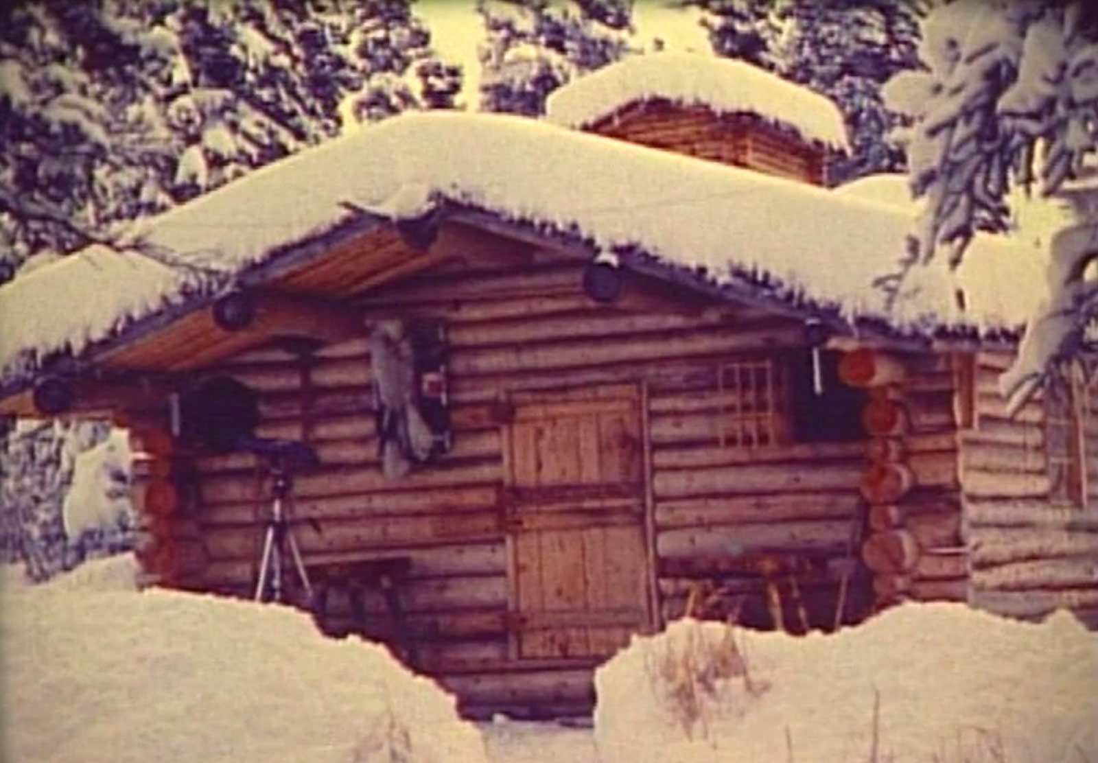 Log cabin