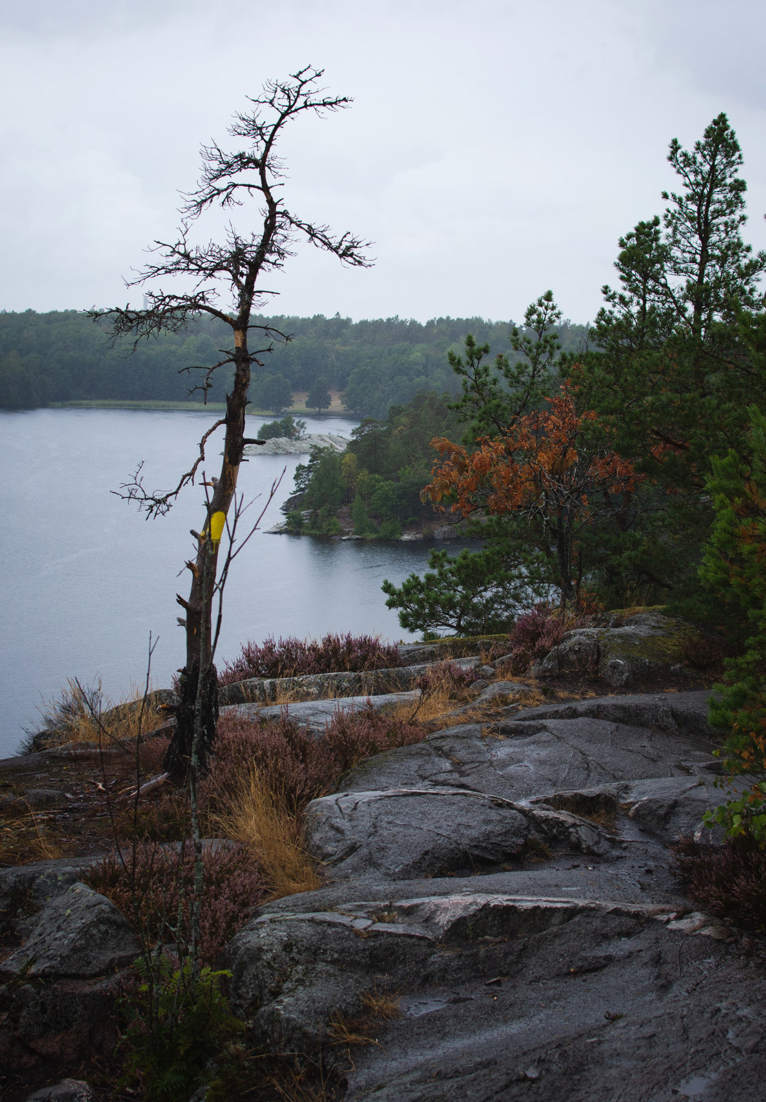 Rain and lake