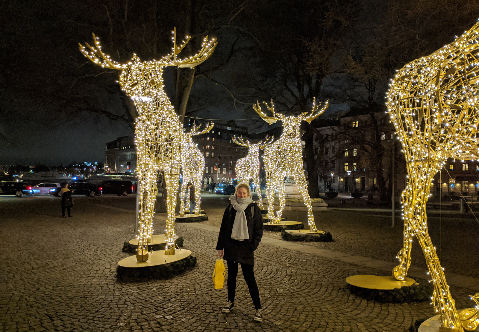 Reindeer lights