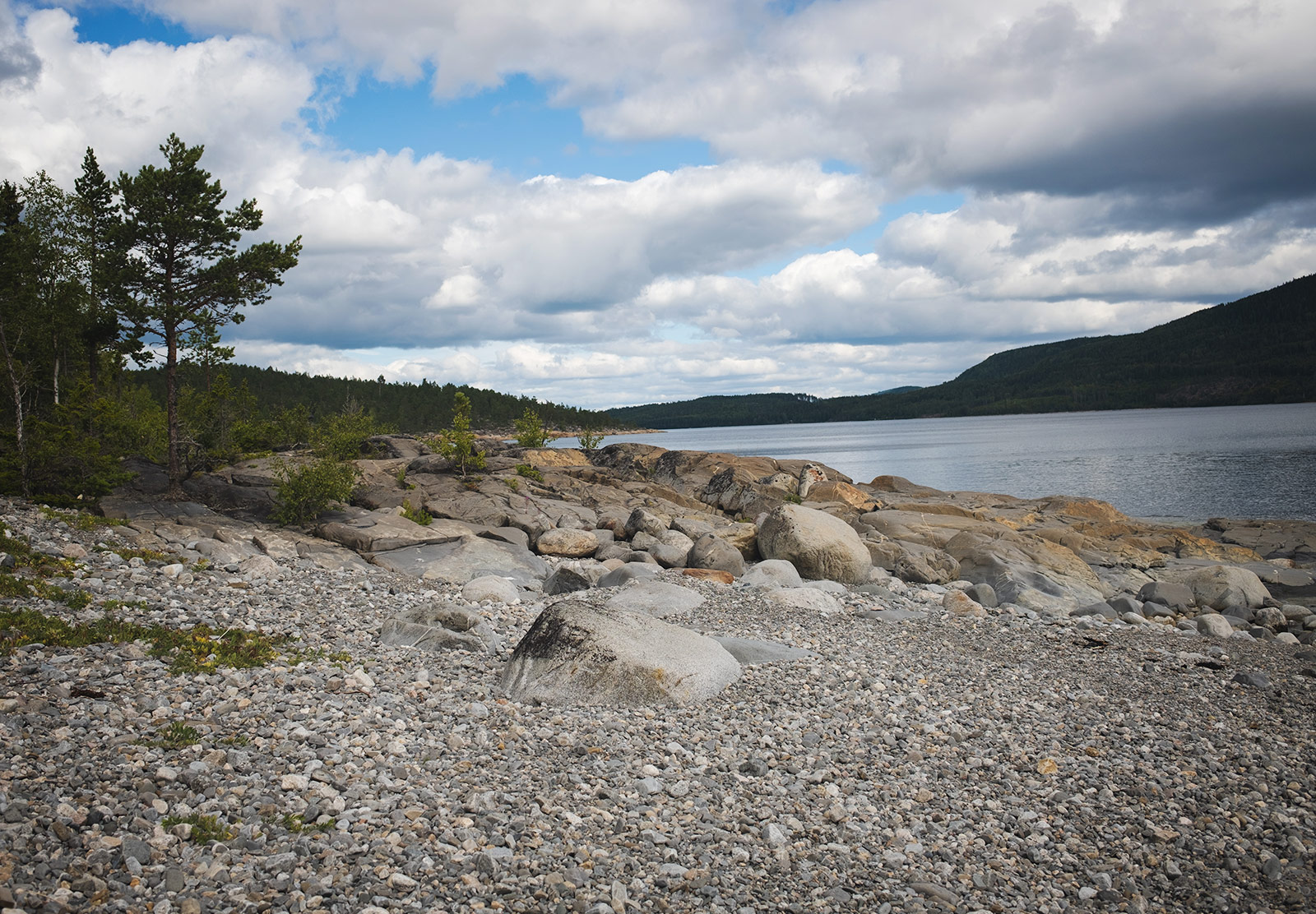 Pebble beach