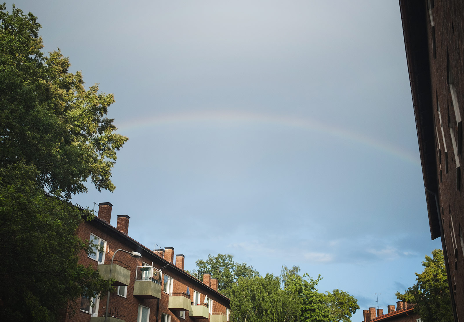 Rainbow over rooftops