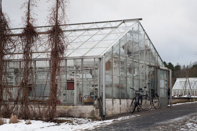 Rosendals Tradgard greenhouse