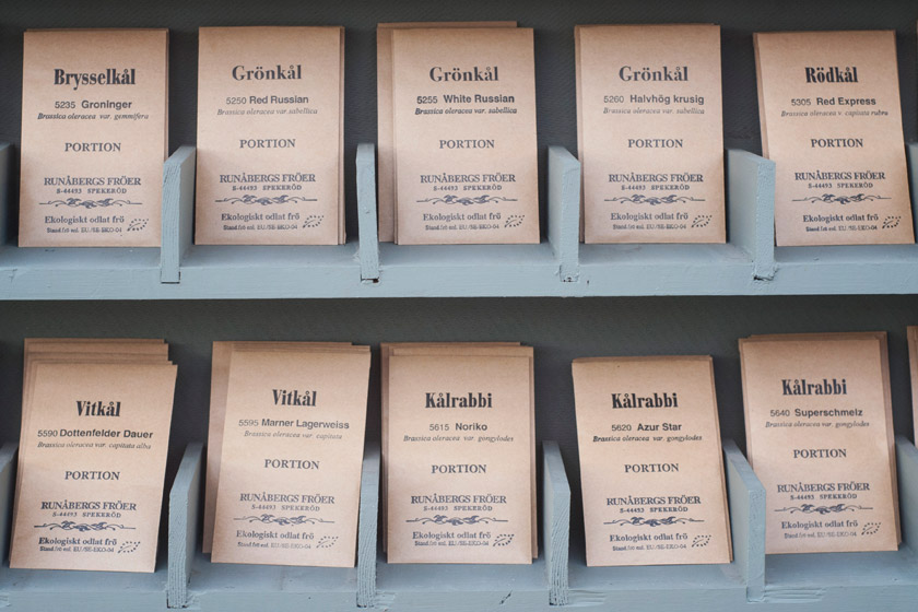 Seed packets on wood shelf