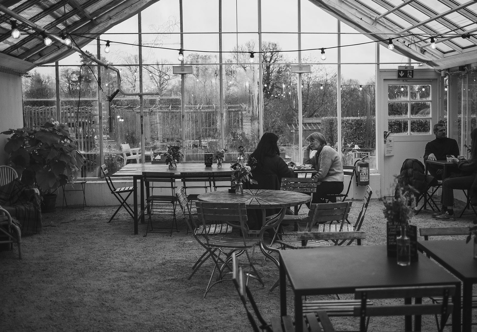People sat at table in greehouse