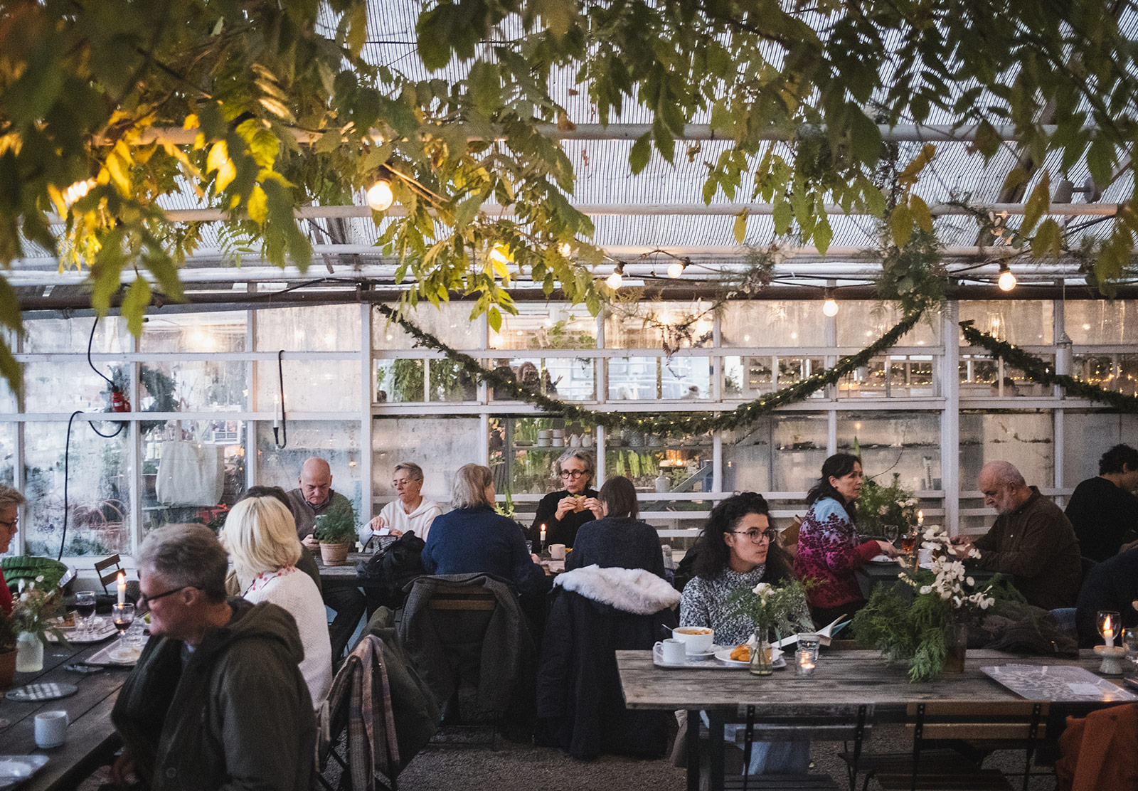 People sat in greenhouse café
