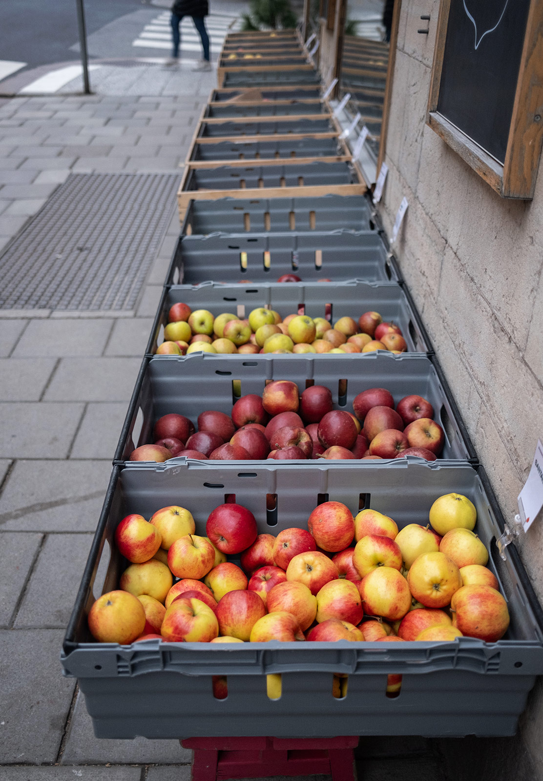 Rows of apples in crates