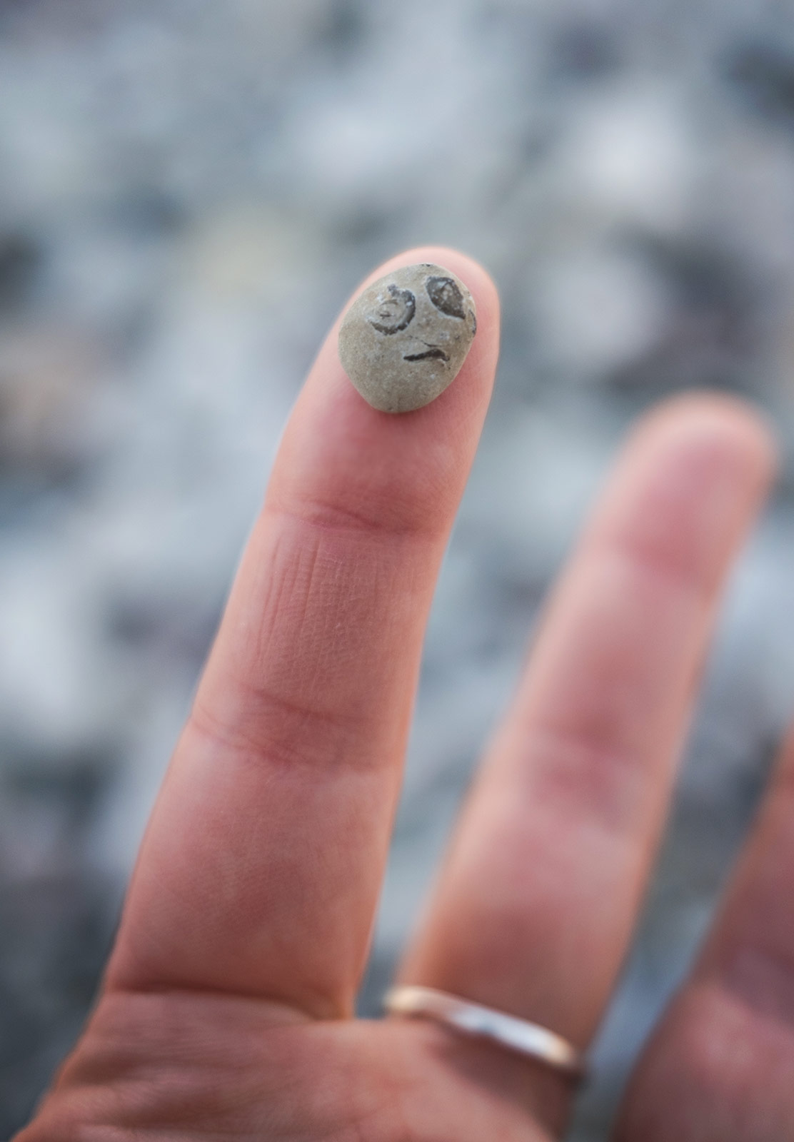 Fossil with a face