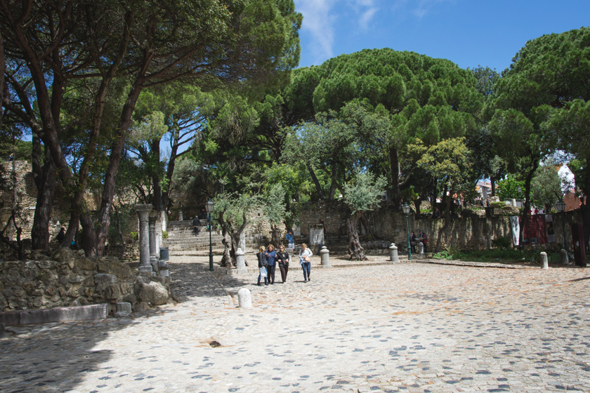 Stone courtyard with trees