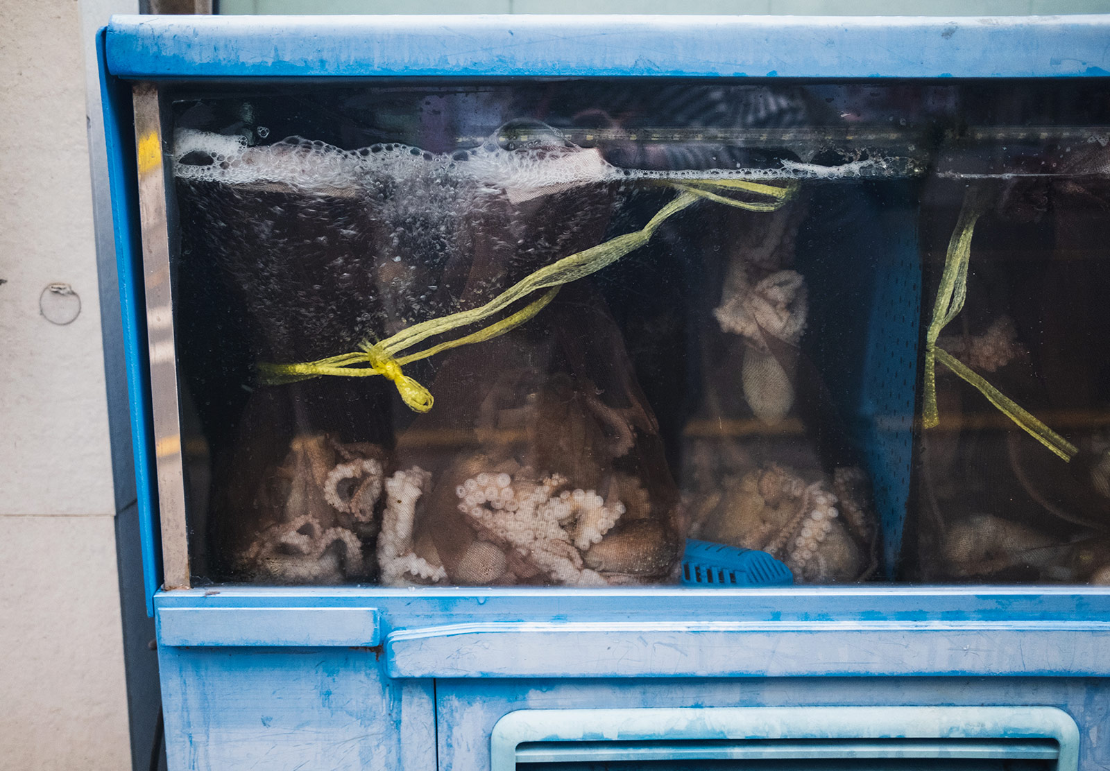 Bagged live octopus in tank