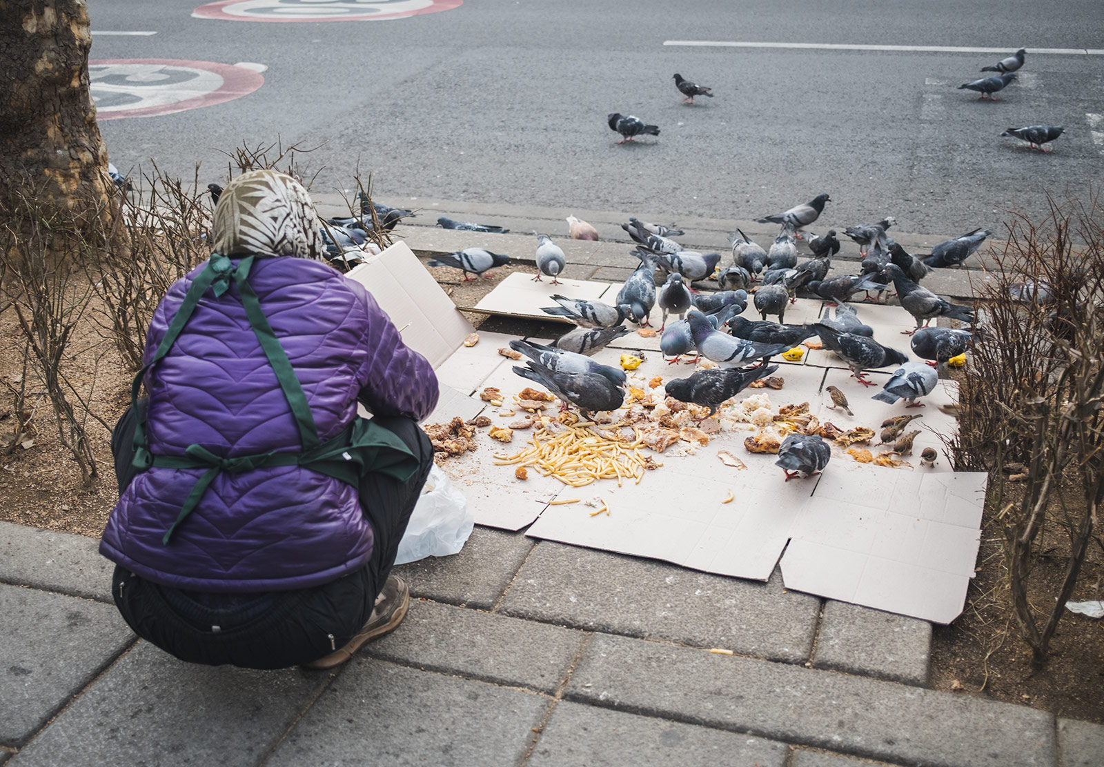 Woman feeding pigeons