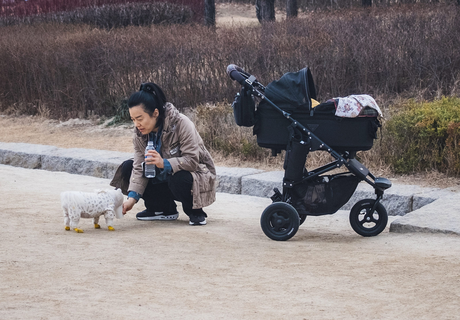 Woman giving a dog water