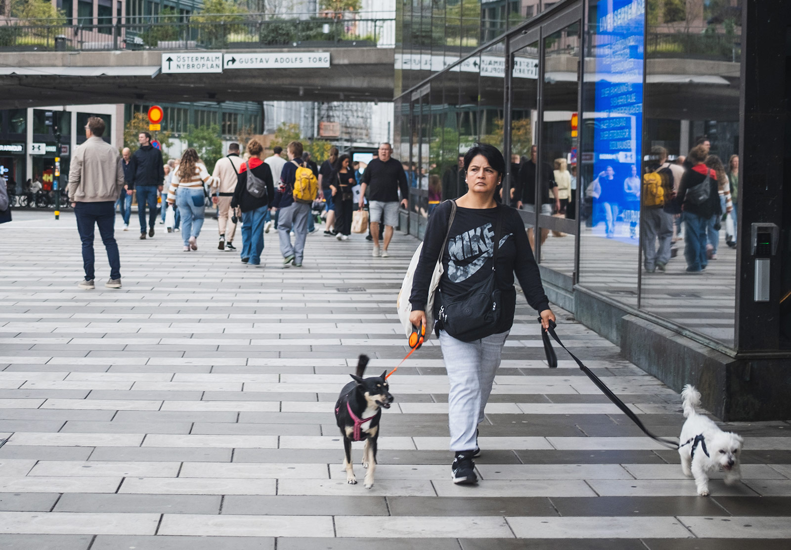 Woman walking two dogs