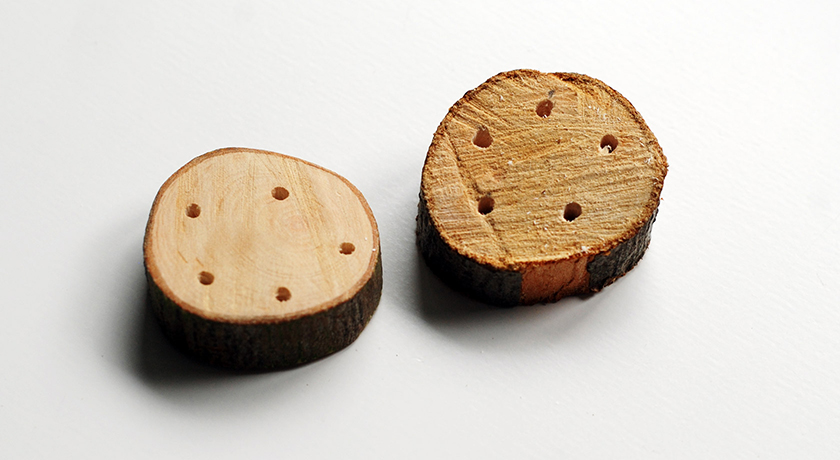 One rough and one sanded button