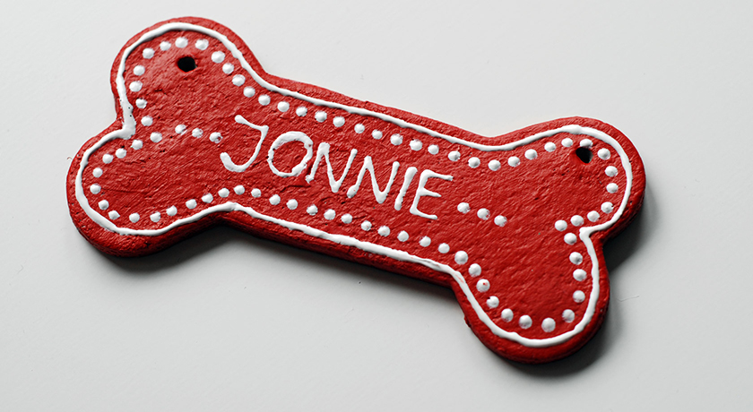 Red bone dog ornament