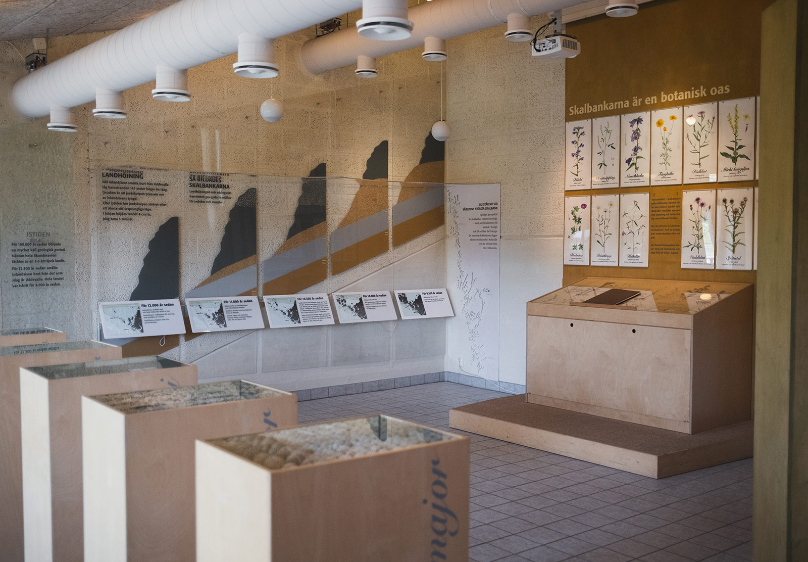 Wooden museum interior
